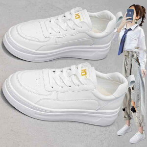 Xj[J[ fB[X TCY  Cq[ ^C [Jbg R y ₷ JWA ig  PU t