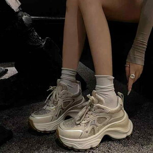 Xj[J[ fB[X  X|[cV[Y jOV[Y v U[ JWA ^C  zCg x[W 3cm`5cm tďH~