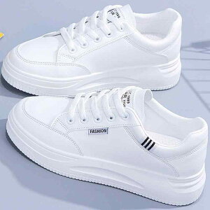 Xj[J[ fB[X V[Y Xj[J[ JWA  nCq[ 8cmȏ RC y h ~ t zCg O[(x2)