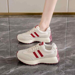 Xj[J[ fB[X [Jbg Xj[J[ t ؍ JWA ₷ ^C ʊw  wlC  n ₷ RC ig y