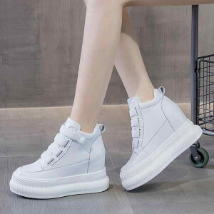 Xj[J[ fB[X  nCJbg Cq[ 8cmȏ gAbv g ۉ ʃt@Xi[ ig H~  ubN  zCg(x2)