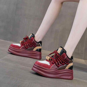 C fB[X  Xj[J[ v V[gu[c H~ EhgD ԕ Cq[ 6cm 7cm 8cm gAbv  22cm 225cm 23cm 235cm 24cm 245cm