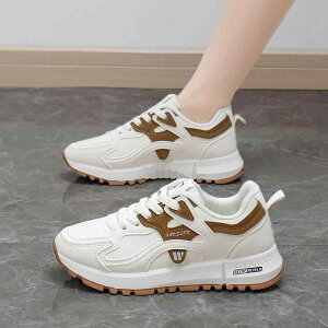 Xj[J[ fB[X h {At Xb|  tbg\[ ɂ ₷ JWA n H~ x[Wn u[ 