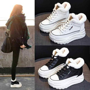 Xj[J[ fB[X  nCJbg Cq[ 5cm gAbv g h ~ ȌC v U[ EhgD R ig JWA  