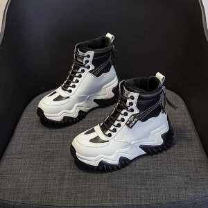 Xj[J[ fB[X  H~ h  Cq[ RC EhgD zF @ wlC  ig fC[  ubN O[