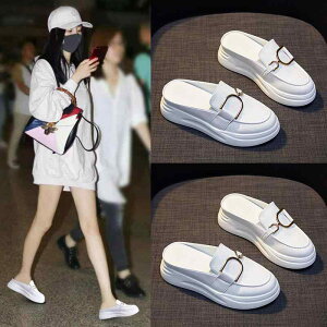 T_ fB[X p U[ T{ T_ Xbp  [t@[ ig   v ʋC