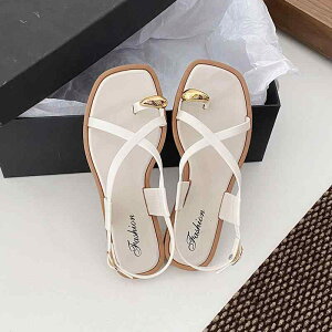 T_ fB[X [} tbg gOT_ PVC ؂ ₷ 킢    x[W ~ ig