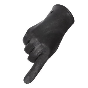  fB[X ~p Rrv  h O[u X}[gtHΉ ] oCN ^] v V[vXL N 