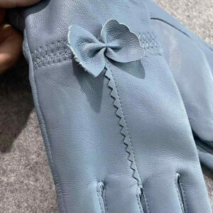  fB[X p wlp V[vXL U[ O[u N h g ؍ oCN ] ʋ  ~