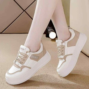 Xj[J[ fB[X [Jbg  R ؂ 3cm~5cm EhgD  tďH~ h NbV ₷ ig JWA s Xj[J[ vbgtH[ wlC 