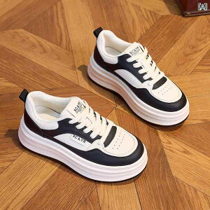 Xj[J[ fB[X  Xj[J[ p JWAV[Y {v tbgV[Y [Jbg RC X|[cV[Y EhgD n  ubN x[W t