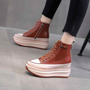 C fB[X  Xj[J[ u[c nCJbg 6cm Cq[ EhgD g h ~ JWA  F H~2