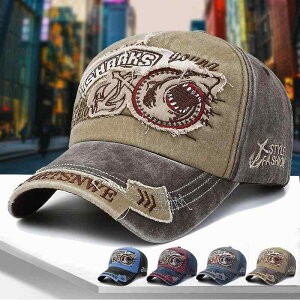 Xq jp ?X fj EHbVh 悯Xq hJ 싅X JWA J[LF u[ O[ lCr[ bh2