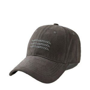 Xq fB[X Lbv ؍ g  H 悯 O΍ Y jp ubN O[