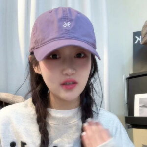 Xq fB[X h? 싅X t ؍ Chu  Ă~ x[W 100 ig