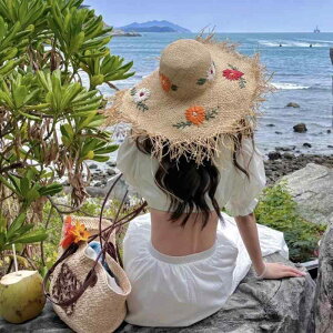 Xq fB[X ؍ ԕ hJ tBA ΖXq UVJbg O΍ Ăh~ Ռ ʋC ɂ t C r[` ][g s2