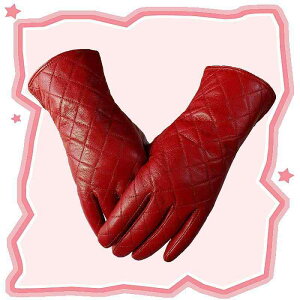  fB[X p iq U[ O[u H~ g ۉ oCN ] ^] ʋ ʊw h v  U[ wl2