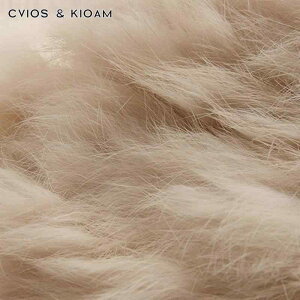 Xq fB[X H~ 킢 jbgX ю P[u҂  h g ӂӂ   t@bV ʋ s v[g ~NeB[ DF