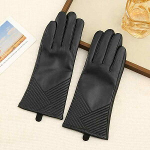  fB[X h H~p O[u X}zΉ g N U[ ubN  M L XL AEghA ig ] oCN ʋ ʊw 2