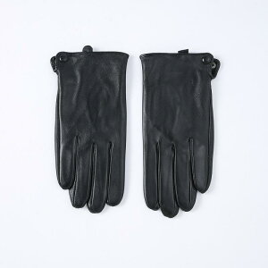  Y jp  nȂ rv V[vXL X}zΉ U[ O[u   h h ^] hCu oCN ] ig ʋ ʊw  