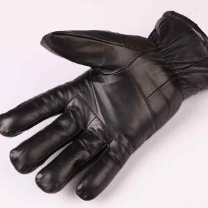  Y jp U[ oCNp O[u  N rv h h ۉ ~