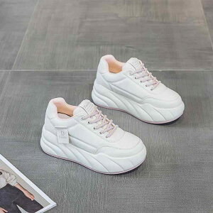 C fB[X  Xj[J[ v V[gu[c [XAbv JWA V[Y Cq[ r 6cm 7cm 8cm EhgD ₷ ₷ _炩 g ~ h x[W