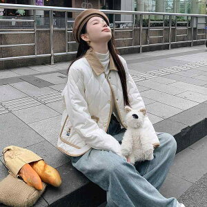 _EWPbg fB[X Cg_E H~ V[g H` LeBO zF R[fC ݕt ptWPbg AE^[  h 킢 K[[ ItzCg ub