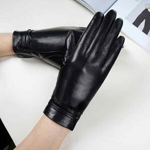  fB[X ~p X}zΉ U[ O[u g N h ^] oCN ʋ 킢  