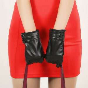  fB[X H~ rv  X}[gtHΉ h ۉ O[u 