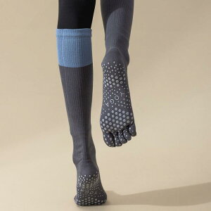 C fB[X K\bNX ܖ{w ~ߕt V[g\bNX 5{w \bNX K seBX X|[c g[jO _X ȍa n tďH~    O[ x[W