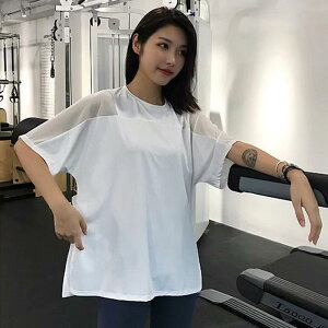 TVc fB[X KEFA hC  X|[cgbvX  `jbN 傫TCY  jO EFA W tBbglX g[jO GNTTCY [EFA i