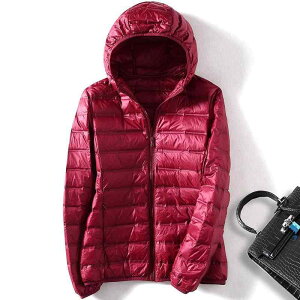 _EWPbg fB[X  y V[g t[ht g _E H~ ؍ JWA ʋ mIX^C XtBbg