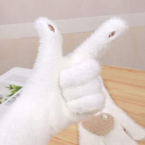  fB[X H~ h g w 킢   n jbg O[u2