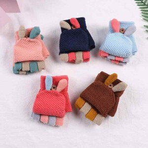  qp h jbg O[u ~gJo[ \t w w ʊw 킢2