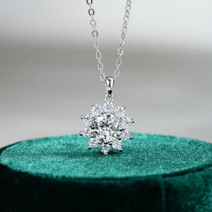 lbNX fB[X Vo[925 ATiCg y_g t@bV ̌ O^`F[ 􉽊w^ h AM[Ή