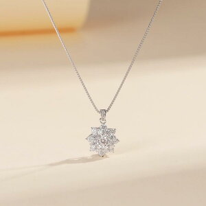 lbNX fB[X Vo[925 ATiCg y_g t@bV NVbN T[N Xm[t[N ԕ 􉽊w I gh Vo[ ANZT[ WG[