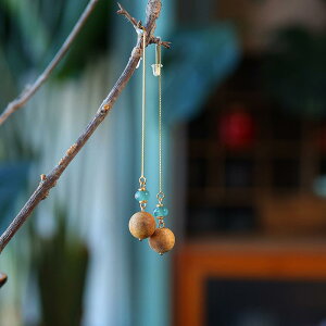 sAX fB[X a ؐ g CO S925 Vo[ dCbLH g Ő X