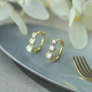 sAX fB[X Vo[925 WRjA Of[V h t[vsAX  Vo[ANZT[ dCbLH NX XJ[g ዾ ECO NE ˂ RC v