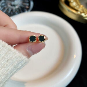 sAX fB[X 􉽊w͗l  S925 Vo[ INS CO  ~j v` fUC dCbLH I  S[hJ[ F AM[Ή