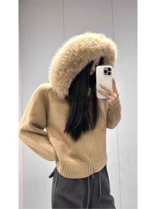 jbg J[fBK fB[X H~ t[ht 唻t@[ V[g  ӂӂ wA   AE^[ HD JWA ꂢ  킢 hbvV