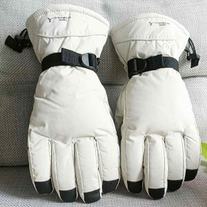  jp p XL[O[u hO[u hO[u ۉO[u V oR X|[c AEghA |GXe