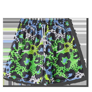 n[tpc Y fB[X jp jO g[jOEFA ە Jt |GXe X|[c Zp {gX