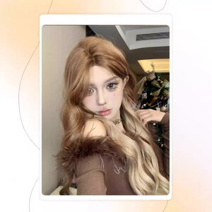 EBbO fB[X tEBbO ߃C[ AbV Of[V EF[u O J[ wAX^C C`F  킢