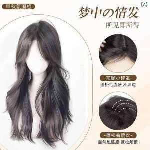 wAs[X fB[X g J[ ʋC 55cm p EBbO {[Abv B