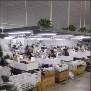 EBbO fB[X sNn Of[V  O J[ tEBbO p  킢 R