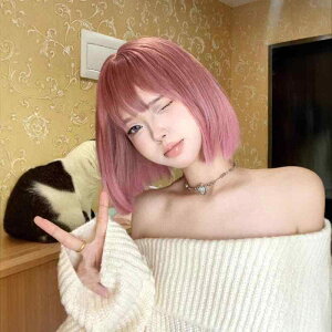 wAEBbO fB[X sNn {u V[g tEBbO ϔM ςO  C`F 킢