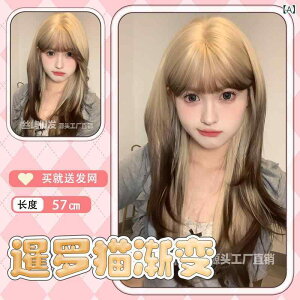 EBbO fB[X Lt Of[V R O J[ tEBbO ϔM RXv t@bV 킢