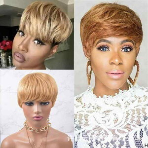 EBbO fB[X V[g  l100% tEBbO ×p   wlp  V[gwA  ʋC K R