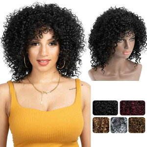 EBbO fB[X AtJ J[[ O H  GNXe ubN ? RXv C`F