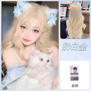 EBbO fB[X [^ F  ig 킢 ӂӂ 傫߃J[ R ϔM